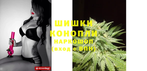 ГАЛЛЮЦИНОГЕННЫЕ ГРИБЫ Балахна