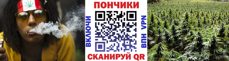 где продают наркотики  гидра зеркало  Марихуана Amnesia  Кущёвская 